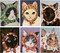 6 Pack 5D Diamond Painting Kits for Adults Beginners,DIY Round Full Drill Diamond Art Kits Cartoon Cat,Paint by Diamonds Gem Art Crystal Easy,Animal Home Wall Decor 12x16 Inch